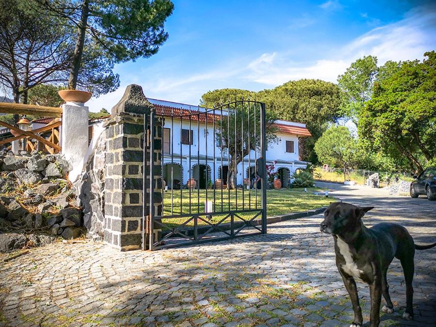 Hotel Sirio Boscotrecase Bagian luar foto