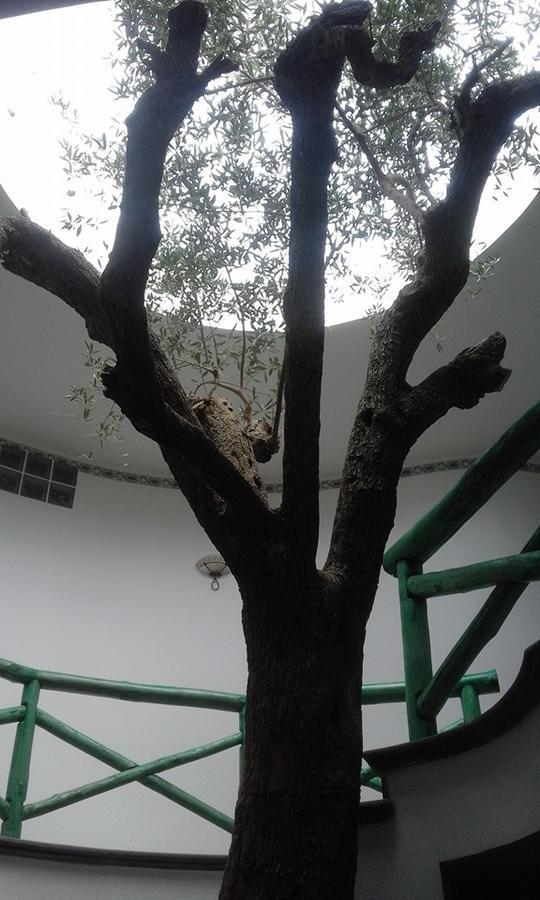 Hotel Sirio Boscotrecase Bagian luar foto